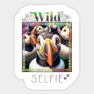 Bird Puffins Wild Nature Funny Happy Humor Photo Selfie Sticker